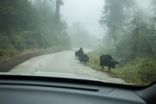 墨脱公路风光