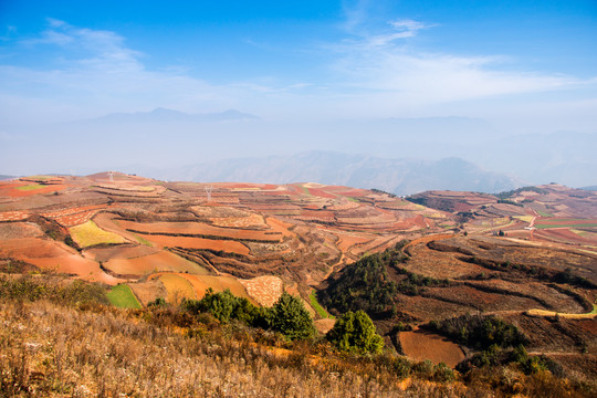 东川红土地