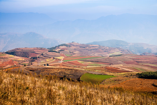 东川红土地