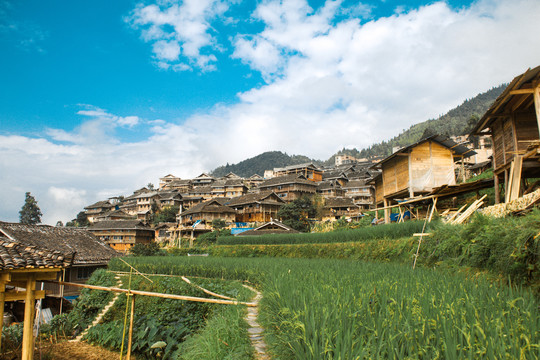 贵州加榜梯田