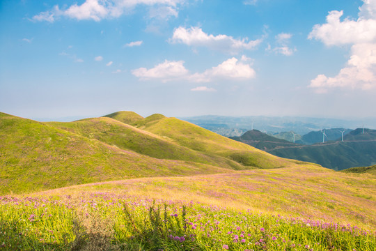 贵州毕节阿西里西韭菜坪旅游景区