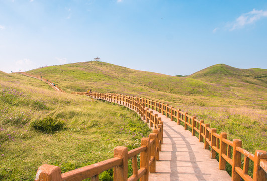 贵州毕节阿西里西韭菜坪旅游景区