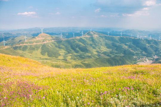 贵州毕节阿西里西韭菜坪旅游景区