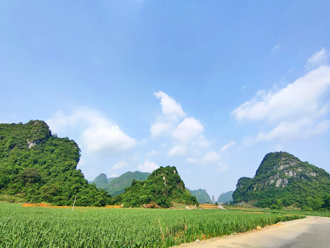 阳朔风景