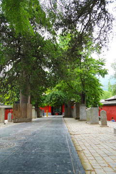 少林寺青石板路