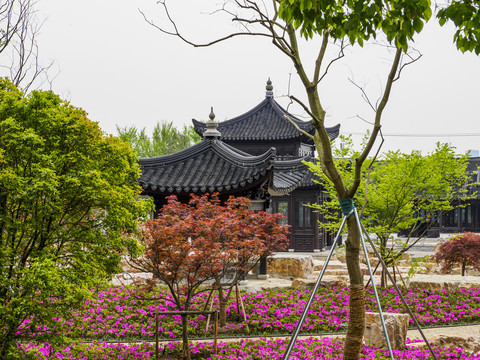 苏州虎丘山