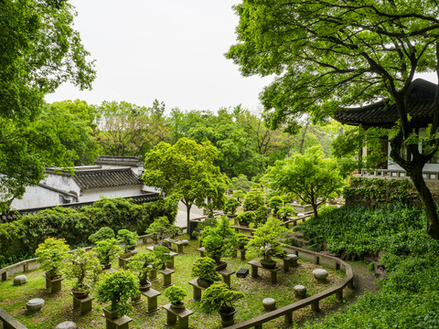 苏州虎丘山万景山庄