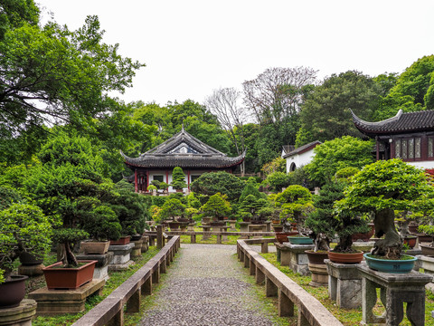 苏州虎丘山万景山庄