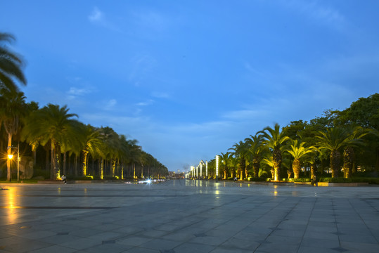 厦门海湾公园夜景