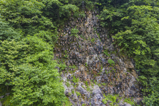 神农架官门山蜂箱中华小蜜蜂