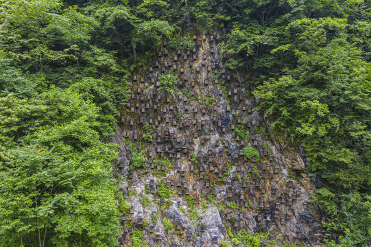 神农架官门山蜂箱中华小蜜蜂