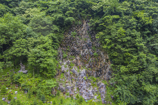 神农架官门山蜂箱中华小蜜蜂