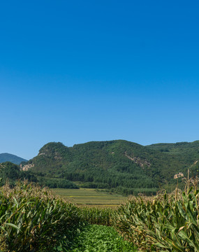 秋季山脚下的田野