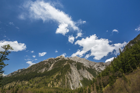 九寨沟的山