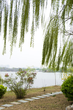 湖边风景