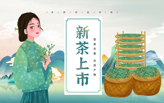 新茶上市采茶女风格插画