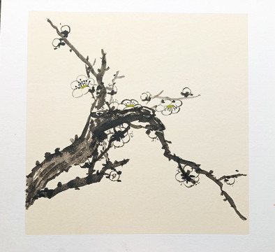 國(guó)畫(huà)梅花圈梅