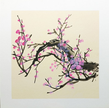 國畫紅梅點(diǎn)花