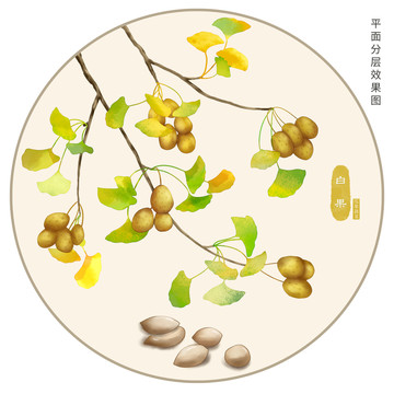 手繪白果