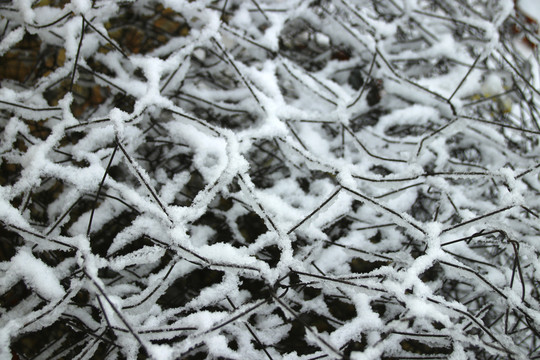 钢丝网上面的雪