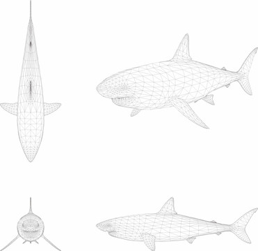 鯊魚矢量線條圖