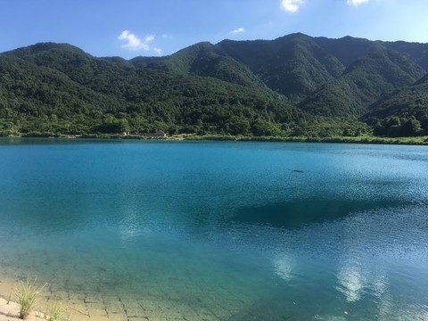 青山绿水