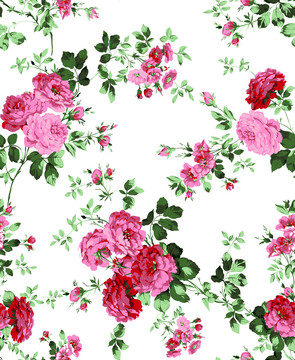 薔薇