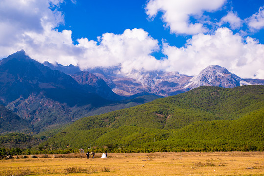 亚高山牧场