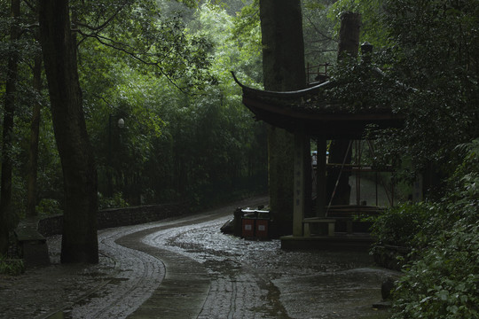 雨天竹林杭州云栖竹径