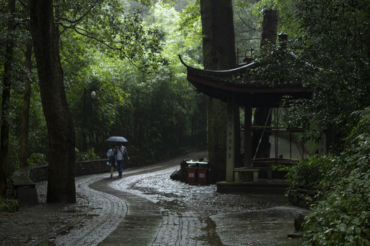 雨天竹林杭州云栖竹径