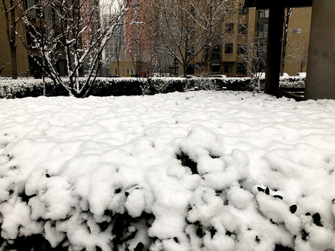 雪景