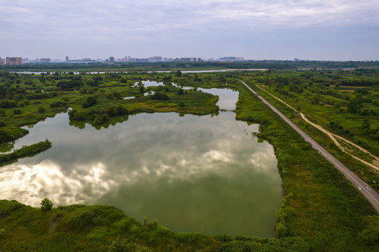 渭河湿地