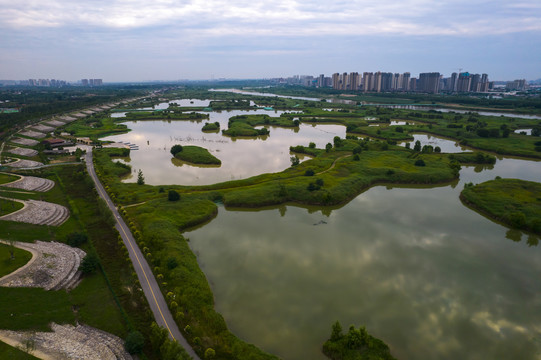 渭河湿地