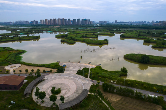 渭河湿地