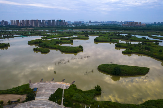 渭河湿地