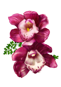 彩绘紫色兰花