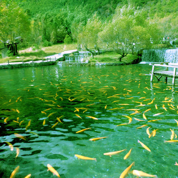 魚塘