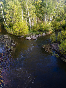 秋季森林河流溪流