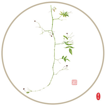 新中式绿植装饰画