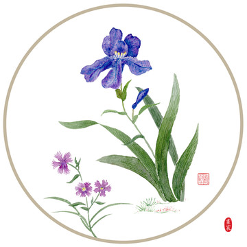 水彩扁竹蘭石竹花圓形畫