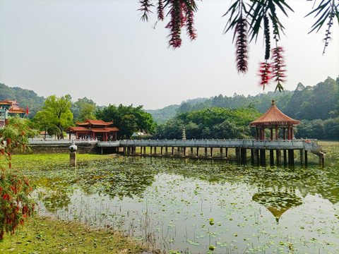 南海观音寺风景