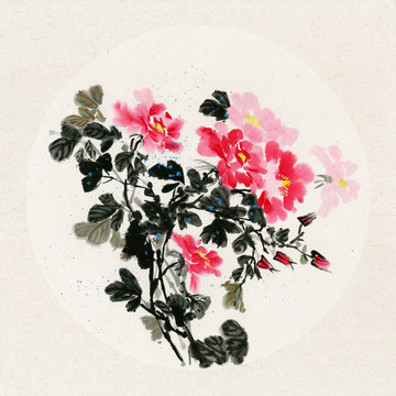 國(guó)畫(huà)月季花