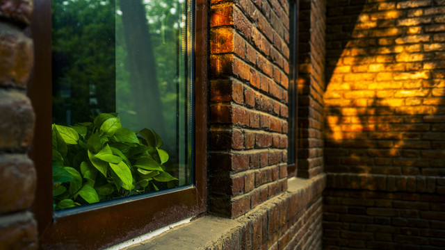 胜因院小楼窗口的绿植和阳光