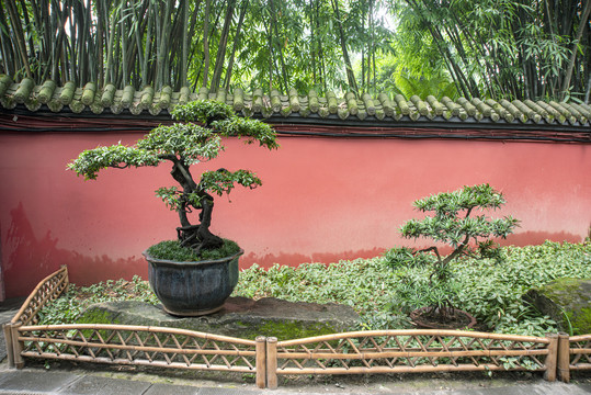 武候祠盆景园