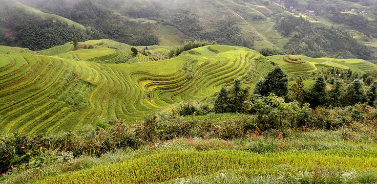 龙胜梯田