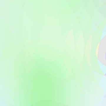 簡約幾何