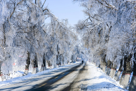 冰挂雪地冬季