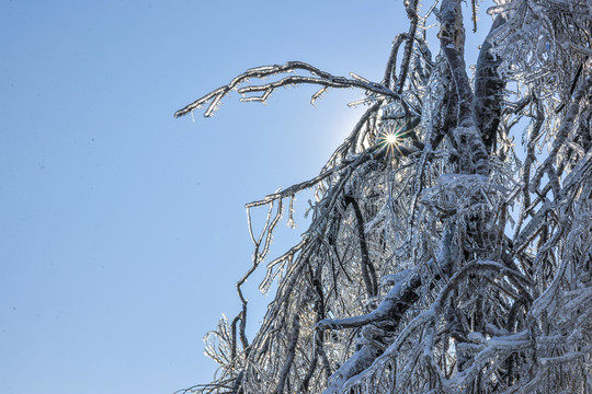 冰挂雪地冬季