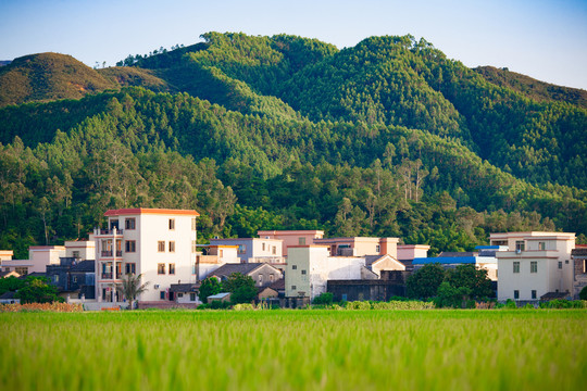 田间别墅