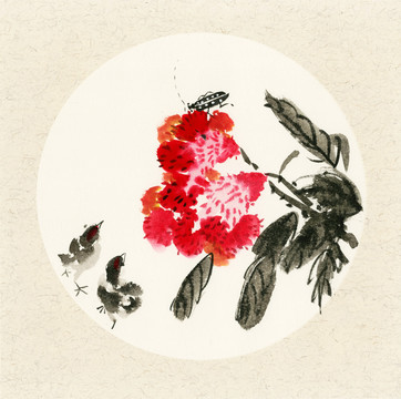 國(guó)畫(huà)雞冠花